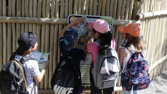 DR - Zoo d'Asson
