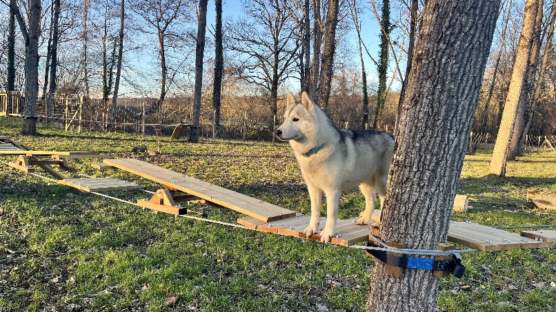 Terre de woof